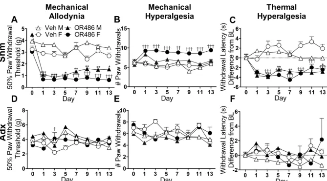Figure 2.4 Male and female adrenalectomized rats fail to develop OR486-induced pain. 