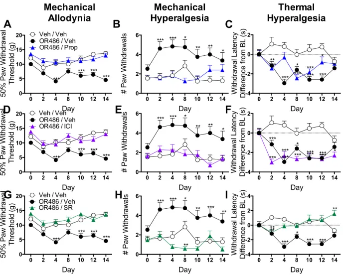Figure 2.5 Peripheral administration of βAR antagonists blocks OR486-induced pain. 