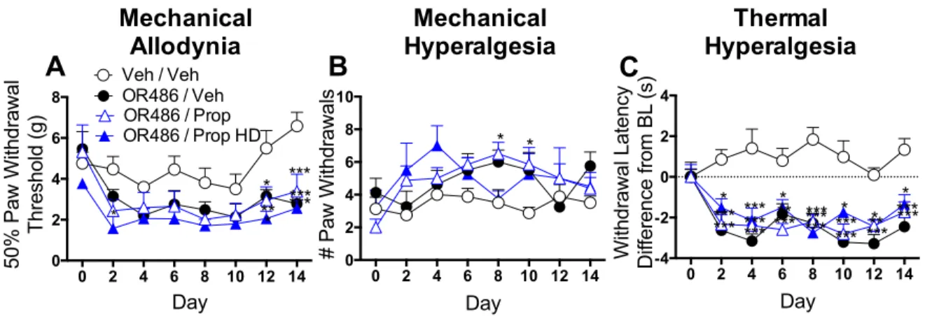 Figure 2.7 Intrathecal administration of high dose propranolol does not alter OR486- OR486-induced pain