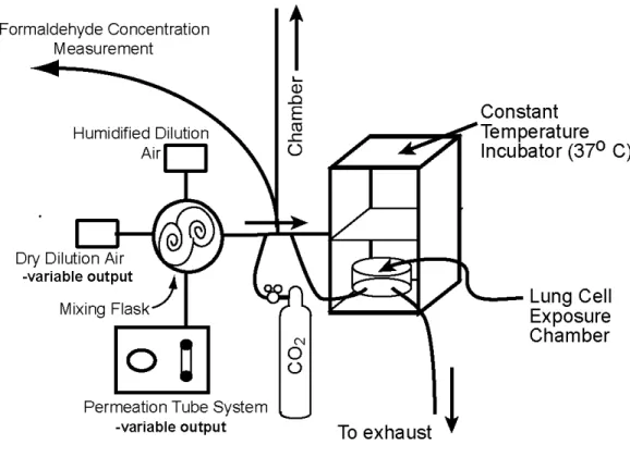 Figure 1:  Schematic of Permeation Tube System 