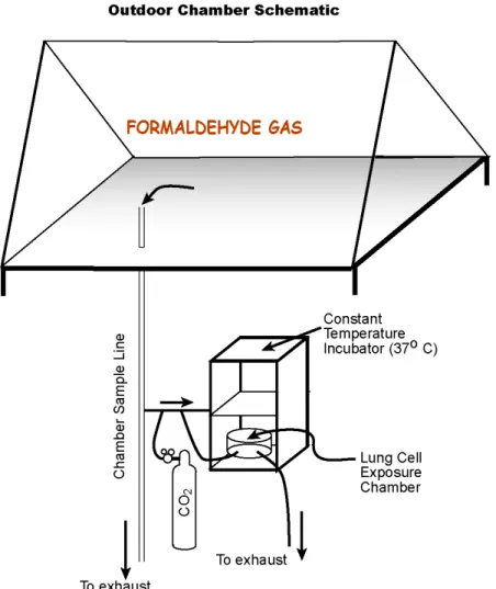 Figure 2:  Schematic of Outdoor Smog Chamber 