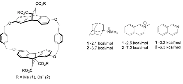 Figure 1.9 Cyclophane designed to complex quaternary ammonium species in CDCl 3  (1) or  pD=9 buffer (2)
