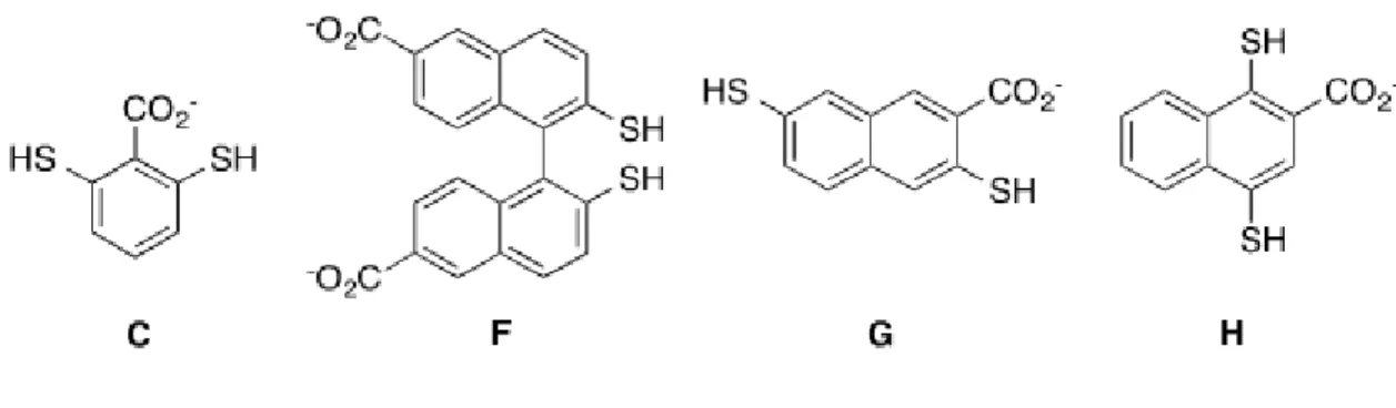 Figure 1.18 Monomers synthesized by Dr. Joshua Beaver for the structure function study of  A 2 X