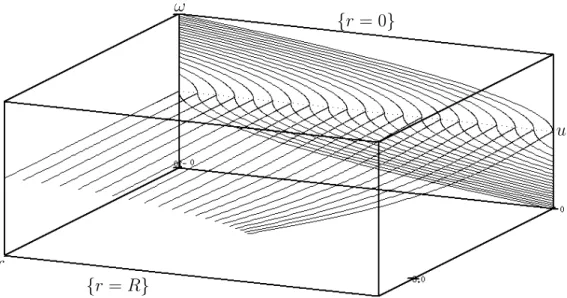 Figure 3.1: The center, stable, and unstable manifolds for twenty radial solutions to (3.13)- (3.13)-(3.15) with different initial values u(0) = a > 0