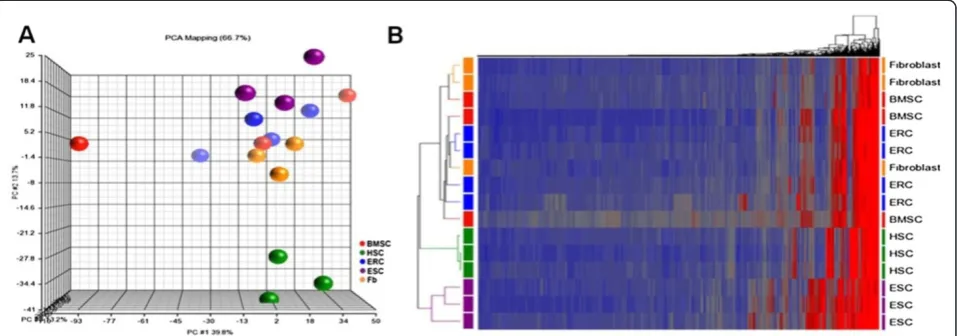 Figure 8 Principal component and hierarchical clustering analysis of miRNA differentially expressed among BMSC, ERC-B, HSC, ESC,and fibroblast (fb) samples