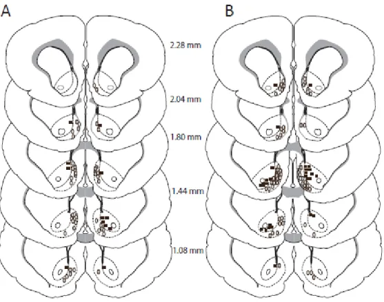 Figure 8.  Histology. Closed squares symbols represent placement in the NAc core while  open  oval  symbols  represent  placement  in  the  NAc  shell
