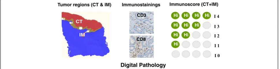 Figure 1 Immunoscore definition and method.