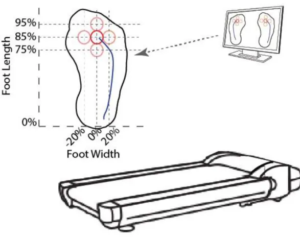 Figure 1 – Biofeedback Schematic