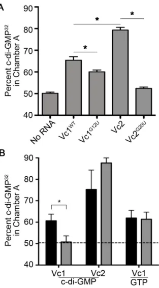 Figure 2.4. Vc1 directly and specifically interacts with c-di-GMP. (A) Binding of c-di- c-di-GMP 32  to in vitro transcribed Vc1 RNA and mutant derivatives was measured by  equilibrium dialysis as described in the Materials and Methods