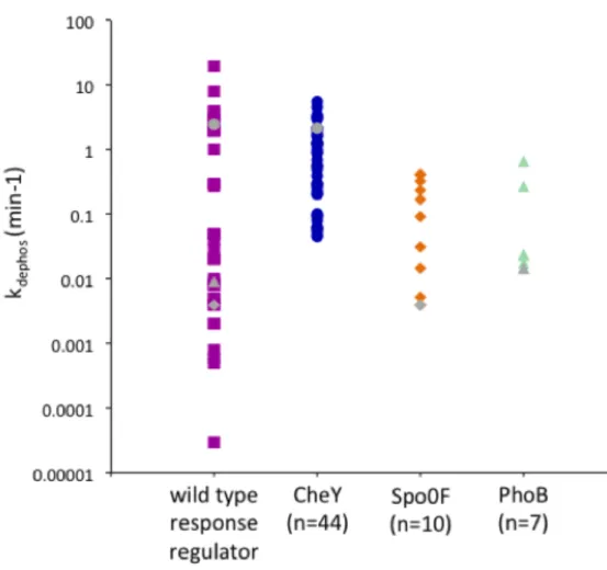 Figure 2.1 Ranges for k dephos .  Data for ‘wild type response regulator’ and ‘Spo0F’ from (40, 52,  53, 71-73)