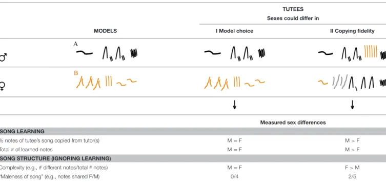 TABLE 1 | Scoring song sex differences with and without taking learning processes into account yields different results.