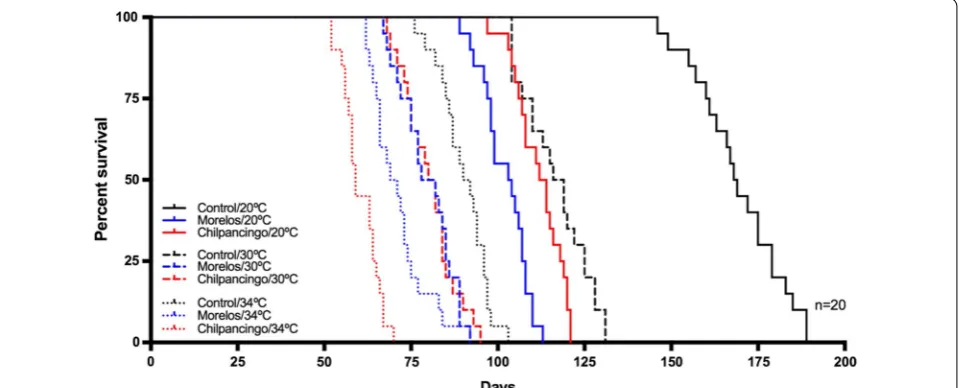 Fig. 8 Phenoloxidase enzyme activity (PO) in the AMG from infected M. pallidipennis fifth‑instar nymphs and control, non‑infected nymphs, at different temperatures (20 °C, 30 °C and 34 °C)