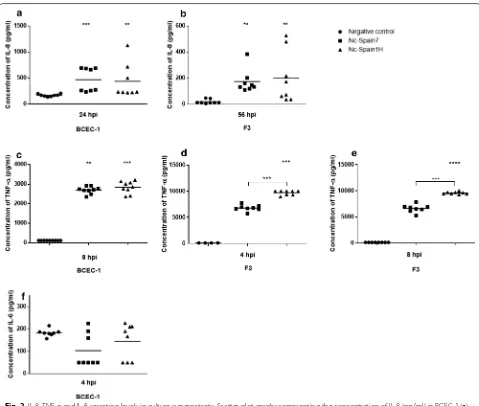 Fig. 2 IL‑8, TNF‑α and IL‑6 secretion levels in culture supernatants. Scatter‑plot graphs representing the concentration of IL‑8 (pg/ml) in BCEC‑1 (a) and F3 (b) supernatants infected with Nc‑Spain7 and Nc‑Spain1H at 24 and 56 hpi, respectively, the concen