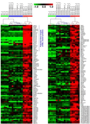 Figure 4. Heatmap of expression profiles of the 116 genes that are expressed at a significantly  higher level in Group 3 (i.e., PBX3+MEIS1 and MLL-AF9 samples) than in both Groups 1 and 2 Of them, 22 genes are potential direct target genes of MLL-fusion pr