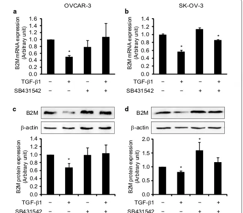 Fig. 6 Regulation of the expression of B2M at mRNA and protein levels by the TGF-β signaling pathway in ovarian cancer cell lines