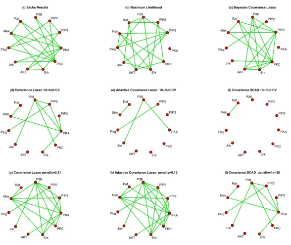 Figure 2.3: Networks for 11 proteins from Sachs et al. (2003)