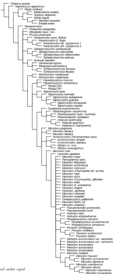 Fig. 82. Strict consensus of 126 trees found under equal  weighting for the subset of 96 taxa.