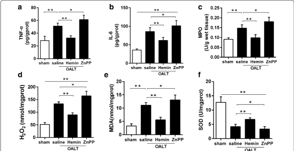Fig. 4 Hemin-induced augment of SOD activity and reduction of MDA, Hity of superoxide dismutase (SOD) (*downstream inflammation cytokines TNF-α (2O2, IL-6, MPO and TNF-α production in lung in rats with OALT