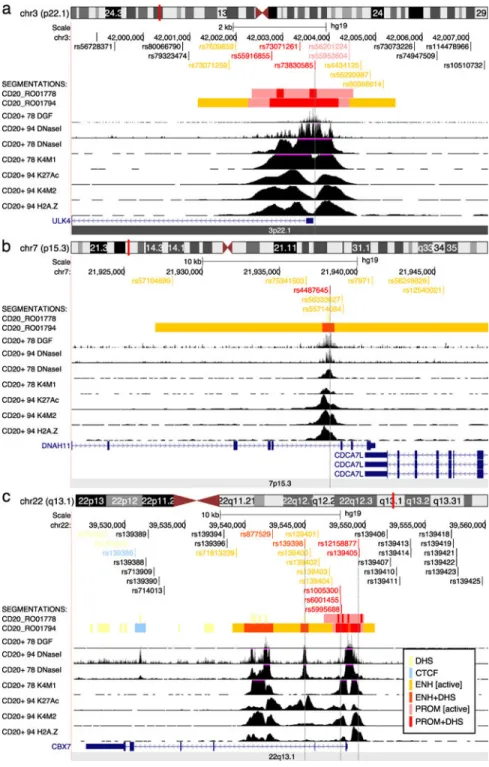 Figure 1. Genomic annotation of the 3p22.1, 7p15.3, and 22q13.1 regions