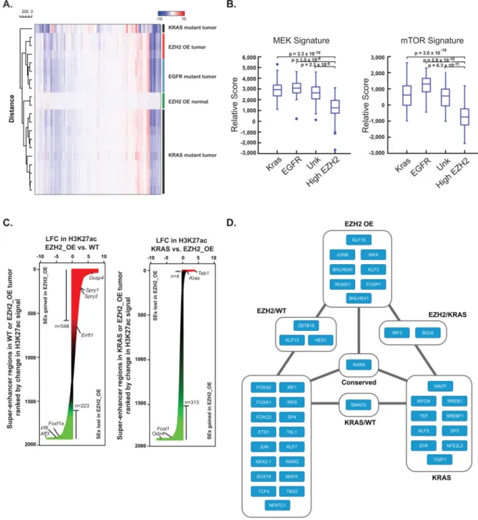 Figure 2. EZH2-Driven Lung Cancer as a Molecularly Distinct Entity
