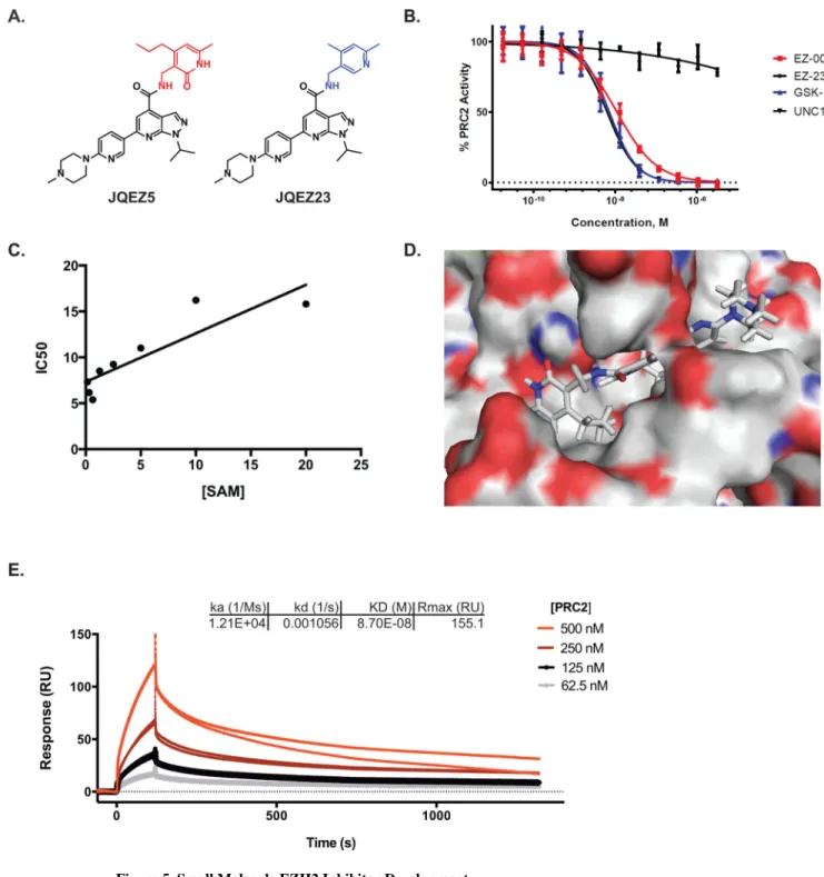 Figure 5. Small Molecule EZH2 Inhibitor Development