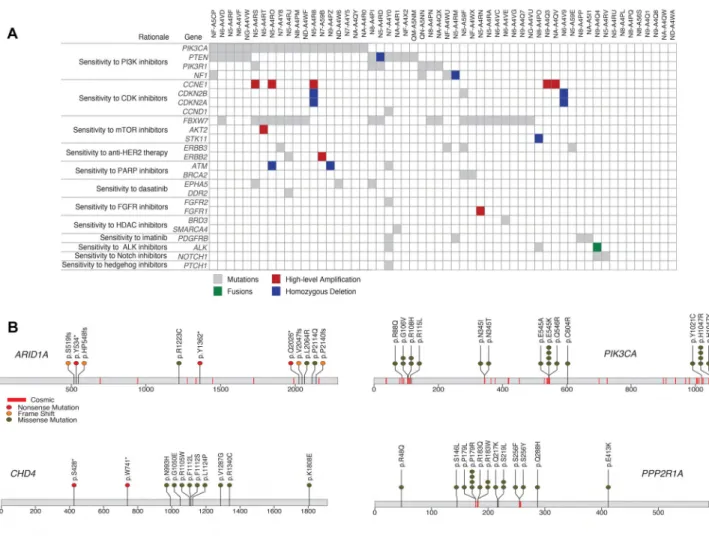 Figure 2. Clinically relevant alterations in uterine carcinosarcoma