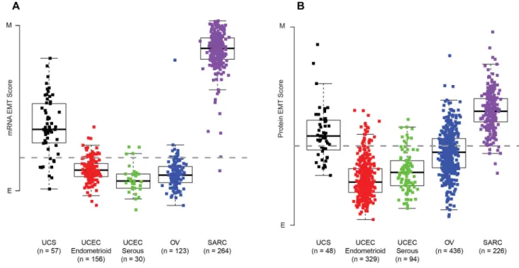Figure 5. Expression and quantification of EMT across tumor types
