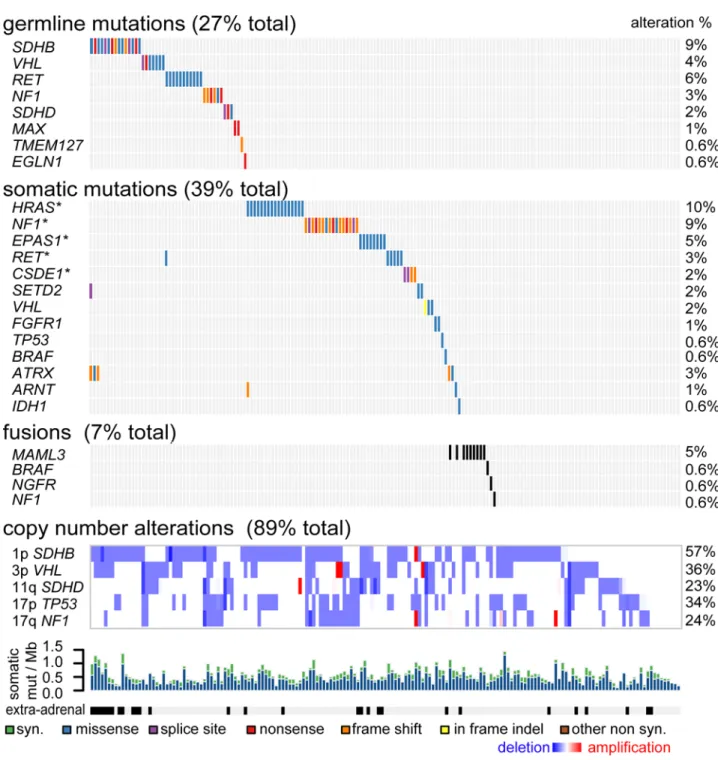 Figure 1. Germline and Somatic Genome Alterations