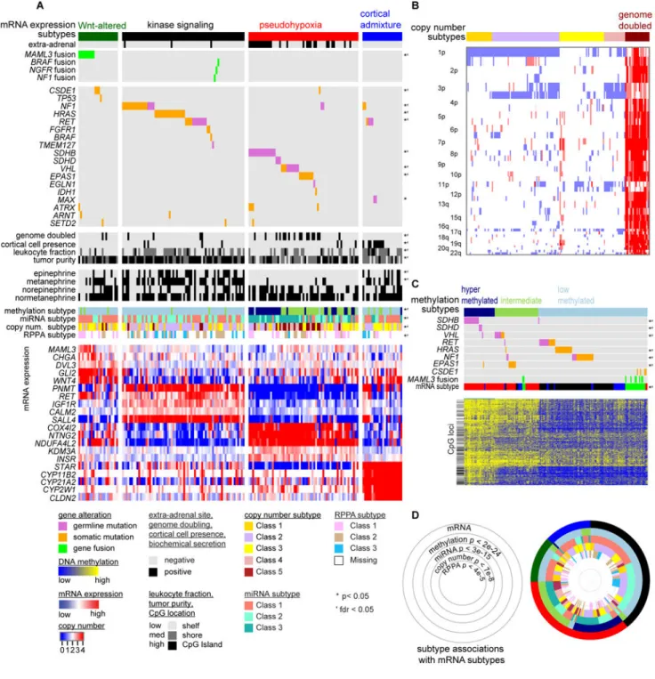 Figure 5. Integrated Molecular Subtypes
