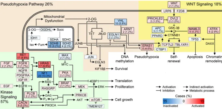 Figure 6. Recurrently Altered Pathways