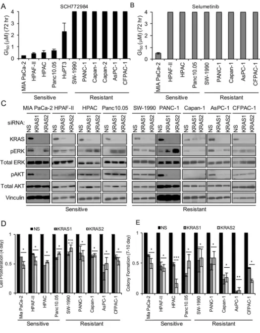 Figure 1. PDAC Cell Line Sensitivity to the ERK-Selective Inhibitor SCH772984 Is Not  Associated with KRAS Dependency