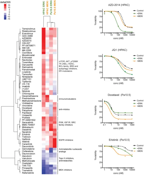 Figure 4. Distinct Patterns of Drug Synergies in ERK versus MEK Inhibitor Combinations HPAC and Panc10.05 cells were exposed to dose-dependent drug sensitivity testing (DSRT)  against 309 oncology-related compounds in the presence or absence of the ERK inh
