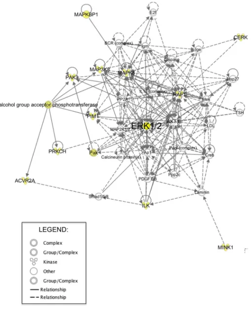Figure 8. Identification of Protein Kinases That Regulate Resistance of PDAC Cell Lines to  SCH772984