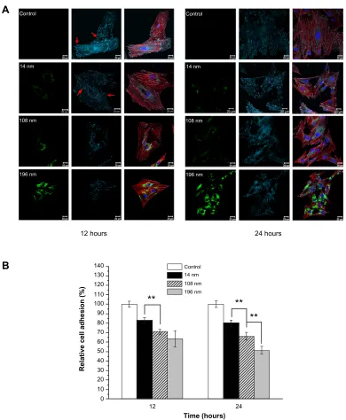 Figure 4 (fluorescence intensity per cell was normalized to the control sample. A) Confocal microscopic images of mesenchymal stem cells incubated without (control) or with FITC-TiO2 particles (0.10 mg/mL) for 12 and 24 hours, respectively