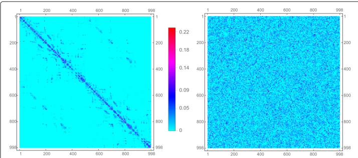 Fig. 4 Left: Connectivity matrix of human cerebral white matter. Right: Randomized version of the samematrix, preserving network weights