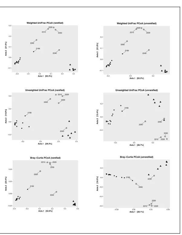 Figure 4. Principle Coordinate analyses for the rarefied and unrarefied datasets. Three different distance metrics  are shown (Weighted UniFrac, Unweighted UniFrac, and Bray-Curtis Dissimilarity) 
