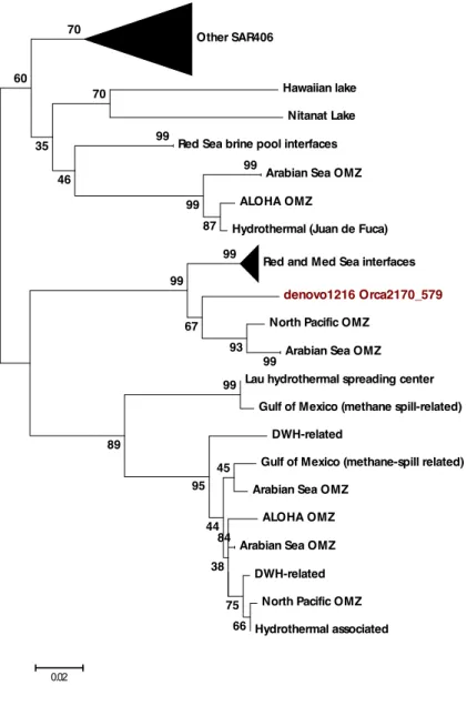 Figure 6. Maximum-Likelihood tree constructed for denovo1216 from the Orca Basin interface