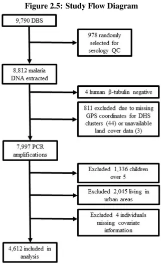 Figure 2.5: Study Flow Diagram