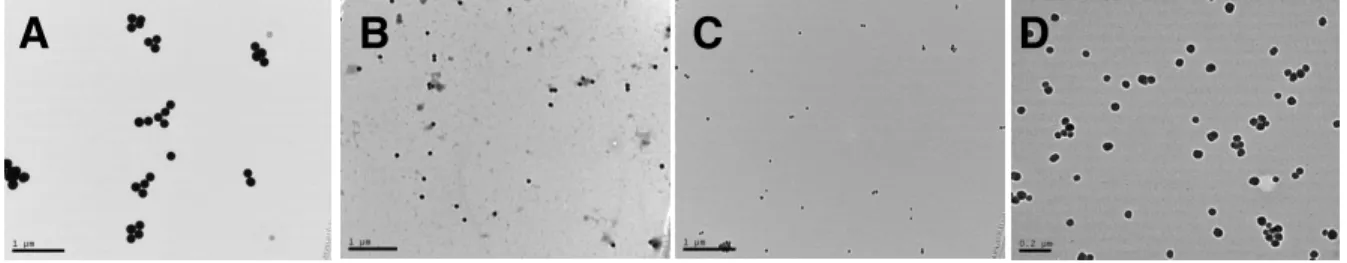 Figure 2.2    TEM micrographs  of (A) 200, (B) 100, and (C,  D) 50 nm  AHAP/TEOS  silica  nanoparticles