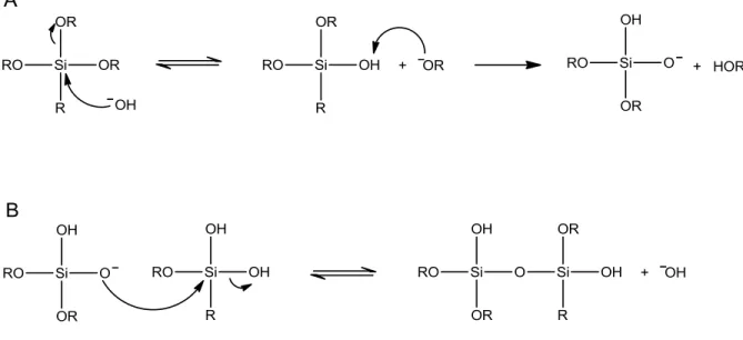 Figure 1.1   (A)  Hydrolysis and (B)  condensation reactions  involved in  the sol–gel  process  under basic conditions