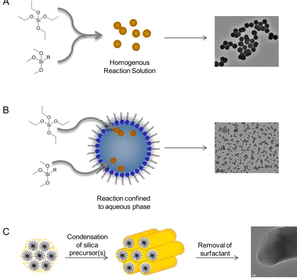 Figure  1.3    Synthetic  techniques  for  synthesizing  silica  nanoparticles  for  drug  delivery  include (A) the Stöber method, (B) the reverse microemulsion technique, and (C) 