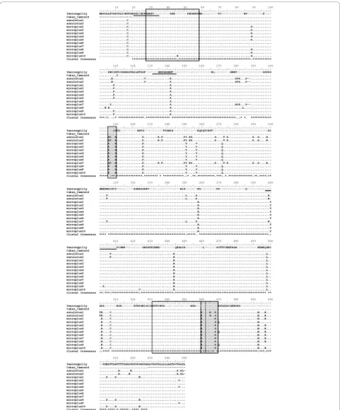 Figure 2 Amino acid alignment of Yeerongpilly (Australian strain), Cuban Camcord (Cuban strain used in Gavac vaccine)underlined; antigenic peptides predicted using the method of Kolaskar and Tongaonkar (Canales 2009) are in grey font; hydrophilic regions(i