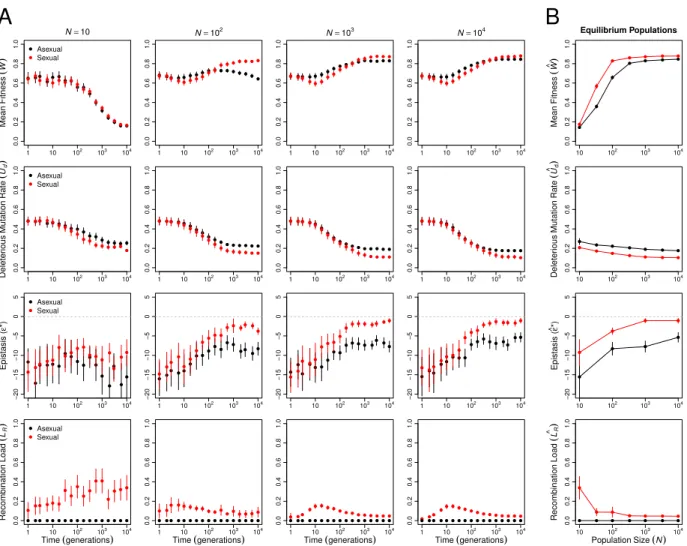 Figure 1: Sex has a long-term advantage. (A) Changes in mean fitness (W ), deleterious mutation rate (U d ), epistasis (ε ∗ ), and recombination load (L R ) over time in asexual (black) and sexual (red) populations of various sizes (N )