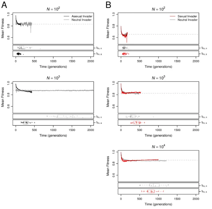Figure 5: Changes in the genetic architecture influence both the origin and maintenance of sex