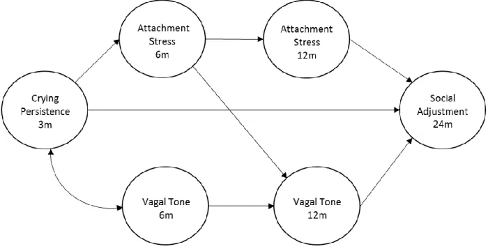 Figure 2. Study 1 conceptual model (depicted here with a 1-factor social adjustment solution) 