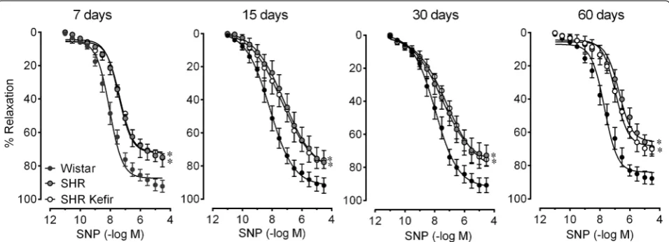 Fig. 8 Time-course effect of the kefir administration on the endothelium-independent relation in SHR