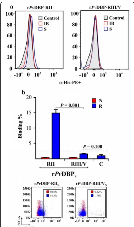 Fig. 3 rrrbody (IB) fractions compared to control  (CD71PvDBP‑RII and rPvDBP‑RIII/V erythrocyte binding activity