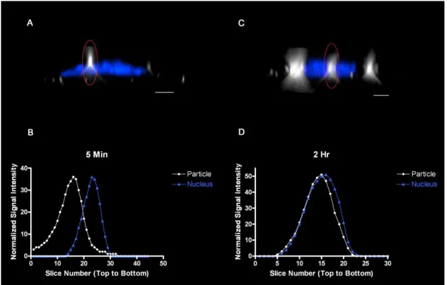 Figure  2.3.2.2  Determination  of  nanoparticle  location  using  the  maximum  intensity  technique