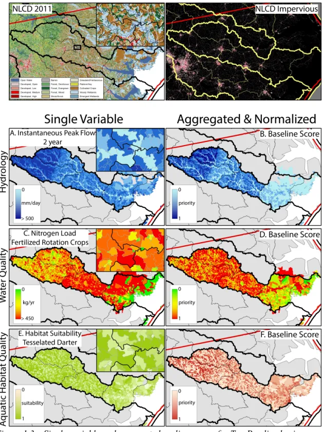 Figure 1.3 – Single variable and aggregate baseline scores for Tar-Pamlico basin 