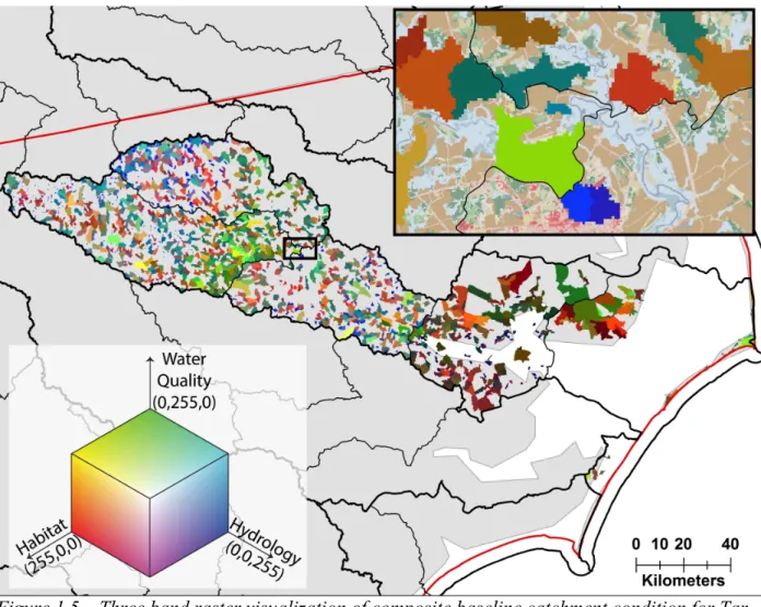 Figure 1.5 – Three band raster visualization of composite baseline catchment condition for Tar- Tar-Pamlico basin 